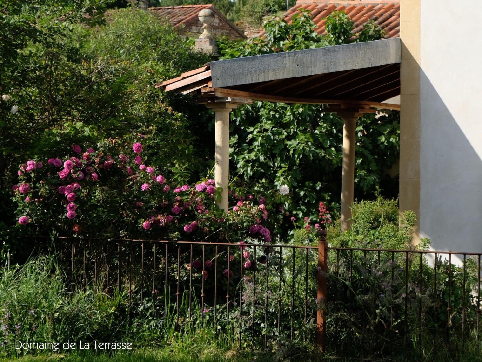 Apartamento Domaine De La Terrasse Carbonne Exterior foto